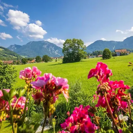 In Den Ruhpoldinger Bergen Ruhpolding