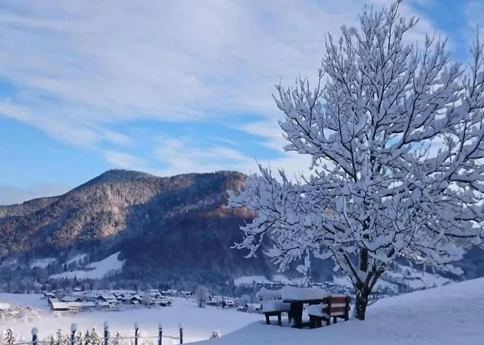 In Den Ruhpoldinger Bergen * Ruhpolding