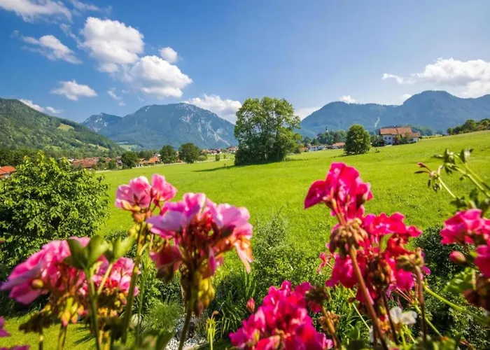 In Den Ruhpoldinger Bergen Ruhpolding