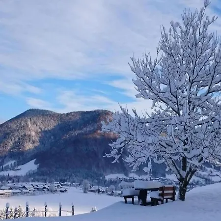 In Den Ruhpoldinger Bergen * Ruhpolding